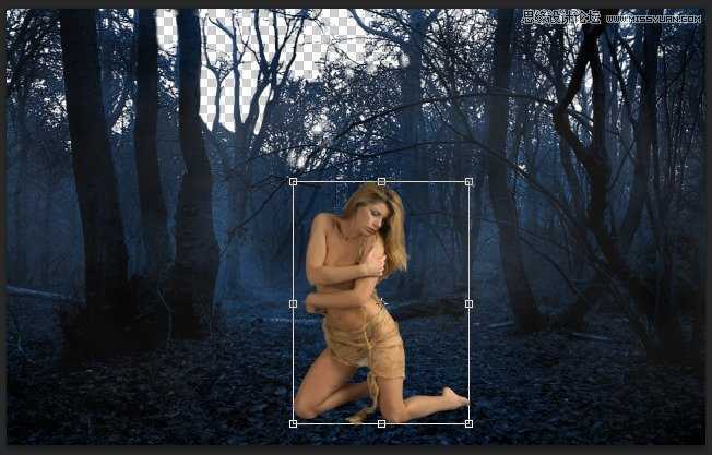 ‘Photoshop合成森林中被树妖围困的仙子‘