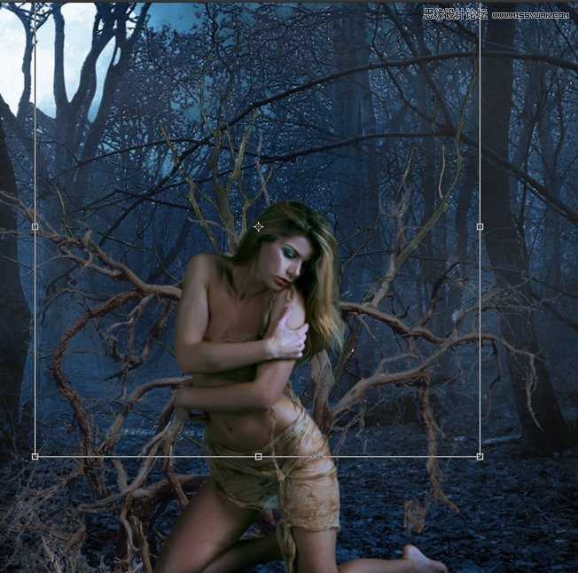 ‘Photoshop合成森林中被树妖围困的仙子‘
