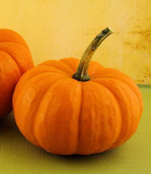 ‘photoshop利用素材及样式制作恐怖的万圣节发光南瓜‘