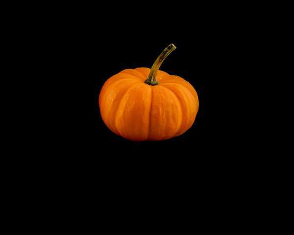 ‘photoshop利用素材及样式制作恐怖的万圣节发光南瓜‘