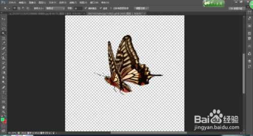 ‘photoshop