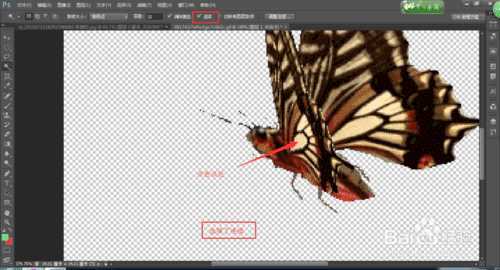 ‘photoshop