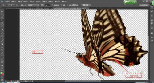 ‘photoshop