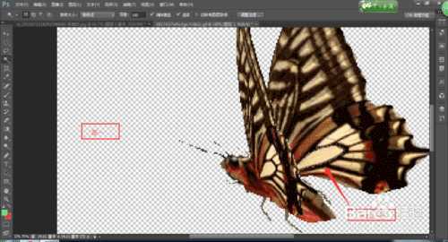 ‘photoshop