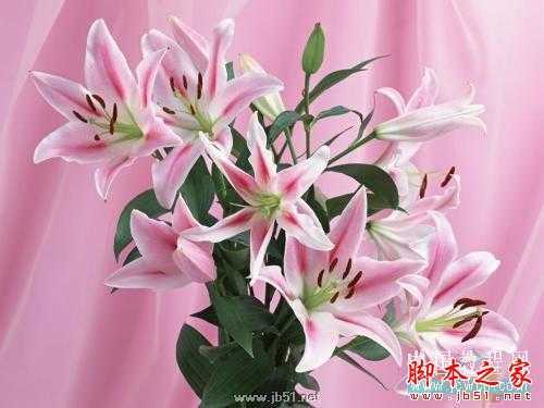 CorelDRAW教程：育儿教育招生广告的制作_中国教程网