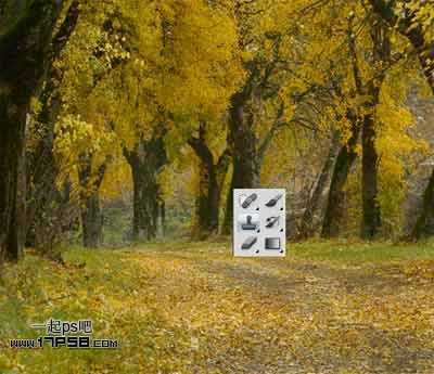 ‘Photoshop为平淡的秋天树林调成红色的效果‘