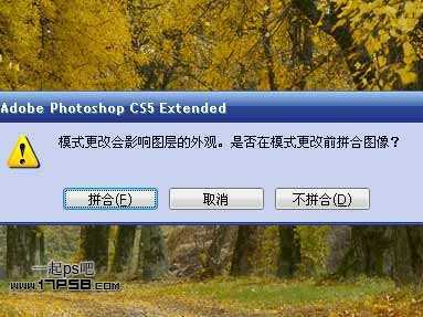 ‘Photoshop为平淡的秋天树林调成红色的效果‘