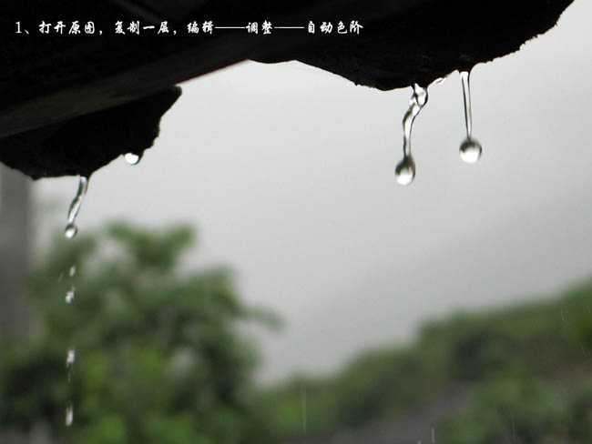 ‘Photoshop将偏灰风景图片调成清爽干净的绿色调‘
