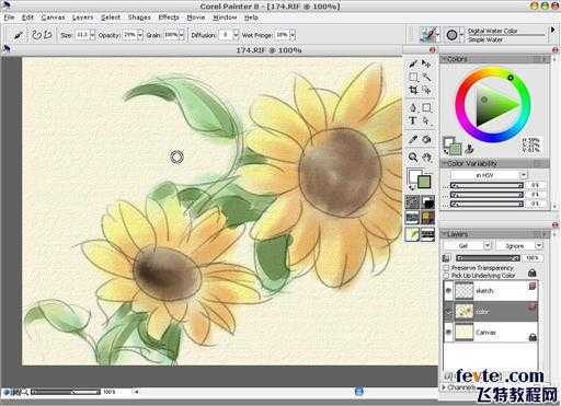 painter绘制水彩向日葵 脚本之家 painter教程