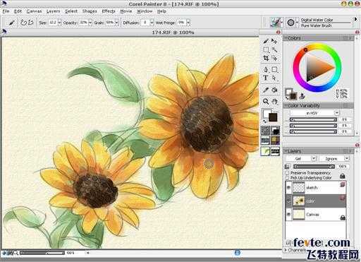 painter绘制水彩向日葵 脚本之家 painter教程
