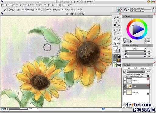 painter绘制水彩向日葵 脚本之家 painter教程