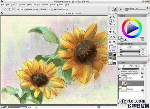 painter绘制水彩向日葵 脚本之家 painter教程