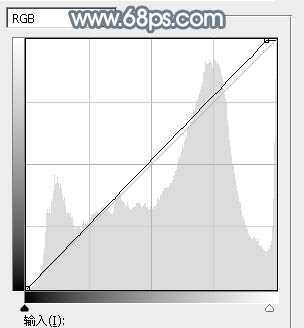 ‘Photoshop将外景美女加上唯美的秋季淡冷色‘