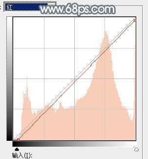 ‘Photoshop将外景美女加上唯美的秋季淡冷色‘