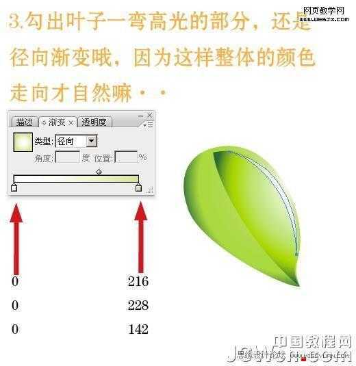 Illustrator教程:绘制绿叶环保的精致货牌_脚本之家