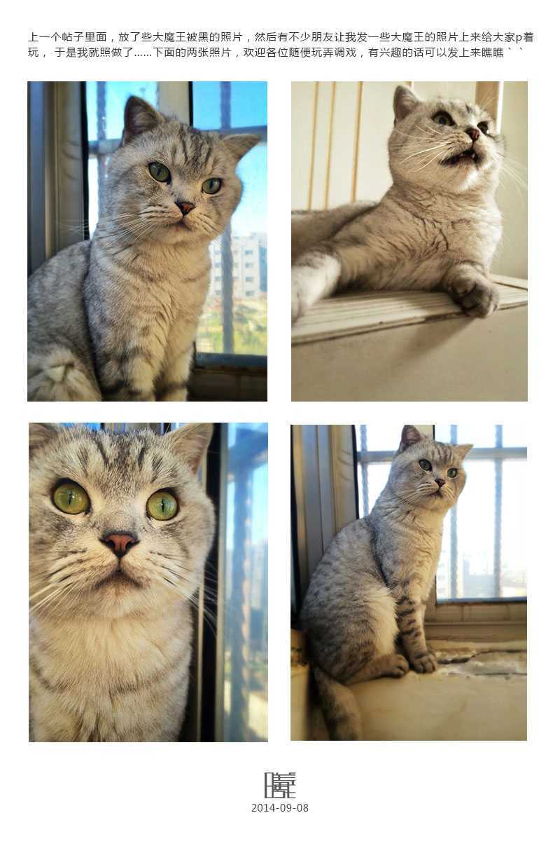 ‘ps图层叠加教程