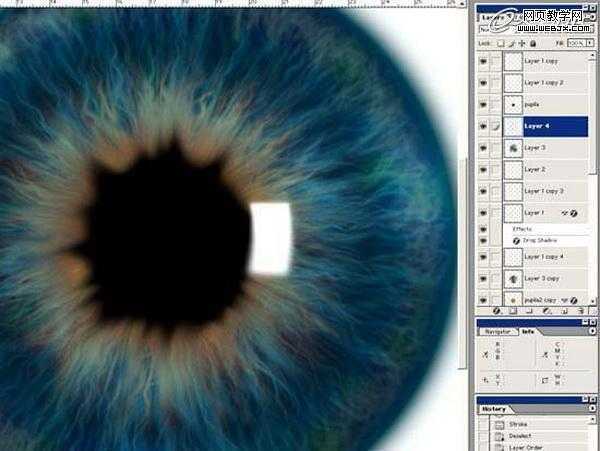 ‘Photoshop将绘制出逼真的眼球效果的鼠绘实例教程‘