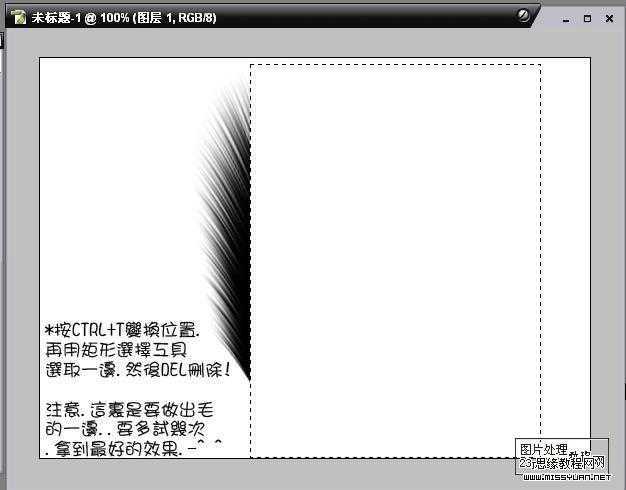 ‘PS巧用滤镜制作漂亮多彩的羽毛花‘