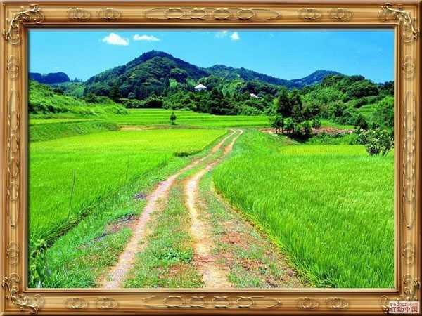 ‘Photoshop打造漂亮的木质花纹相框[‘