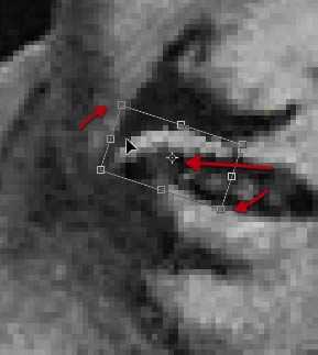 ‘PS快速修复被撕坏的旧照片‘