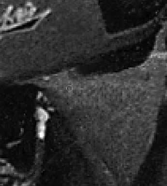 ‘PS快速修复被撕坏的旧照片‘