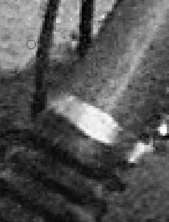 ‘PS快速修复被撕坏的旧照片‘