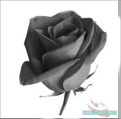 Photoshop教程：制作诱人的巧克力玫瑰