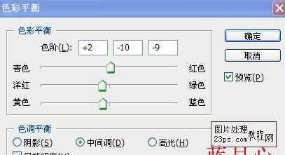‘Photoshop将绿色的花朵调成漂亮的紫色调‘