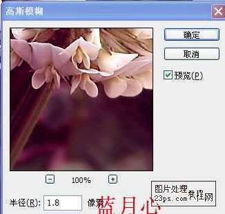 ‘Photoshop将绿色的花朵调成漂亮的紫色调‘