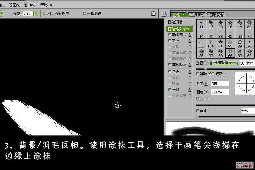‘Photoshop鼠绘雪白的羽毛扇子‘