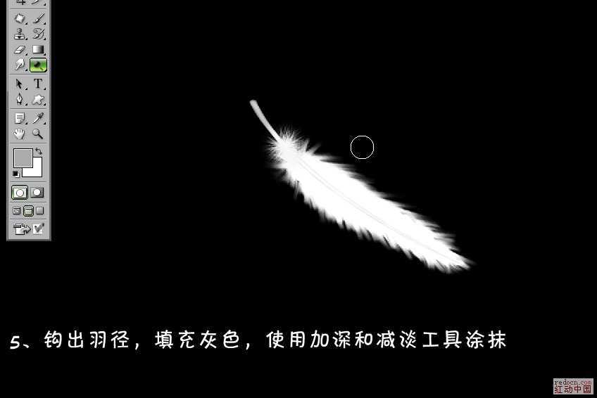 ‘Photoshop鼠绘雪白的羽毛扇子‘