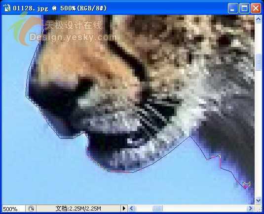 ‘详情介绍Photoshop中套索工具的使用技巧‘