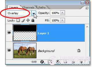 ‘photoshop实现的为图像加上逼真的蓝天白云效果实例教程‘