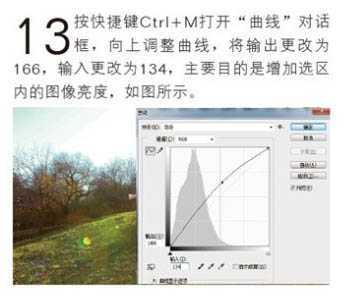 ‘Photoshop为偏暗的人物图片打造唯美的树林逆光人物图片‘