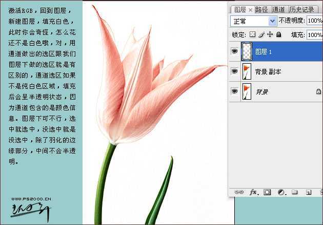 技术分享