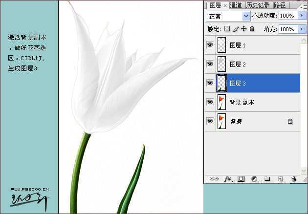 技术分享