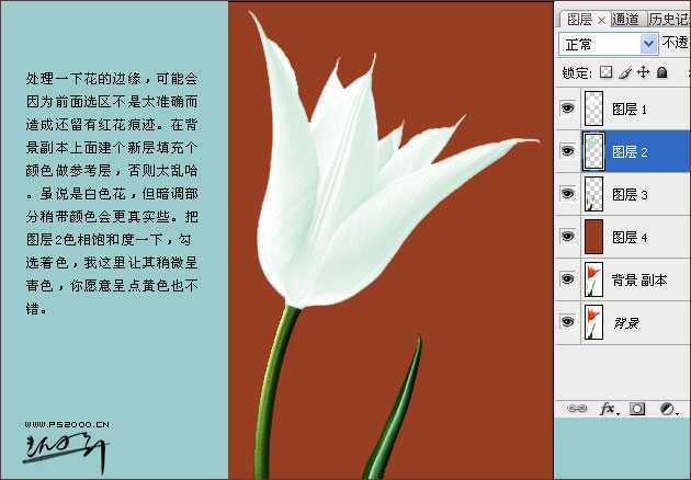 技术分享