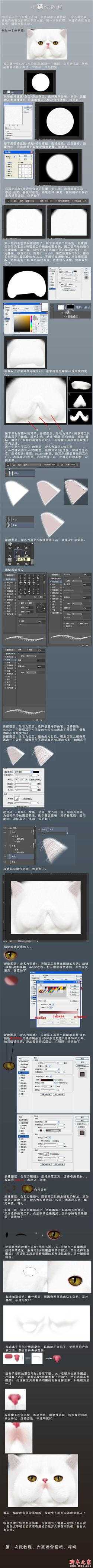 ‘ps设计制作逼真的可爱白色猫咪‘