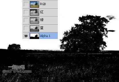 ‘photoshop制作出动物跳出相框场景‘