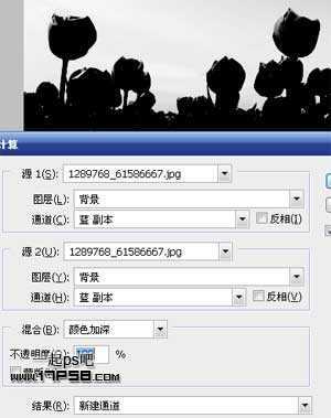 ‘photoshop制作出动物跳出相框场景‘