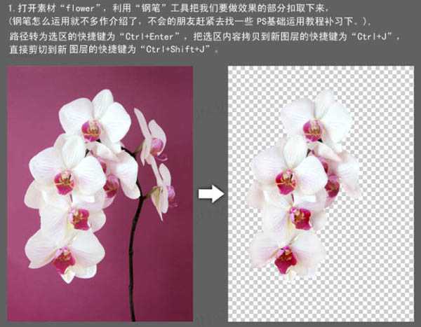 ‘Photoshop合成牛奶泼洒出纯白色花朵的效果‘