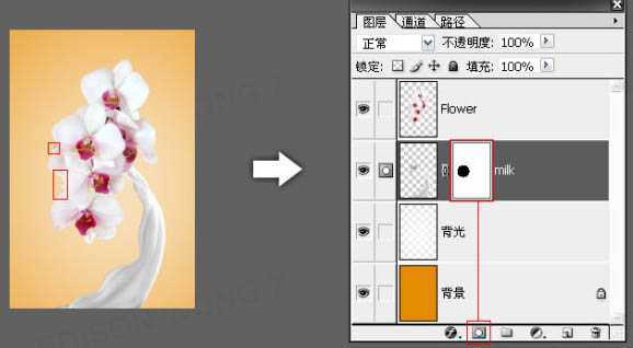 ‘Photoshop合成牛奶泼洒出纯白色花朵的效果‘