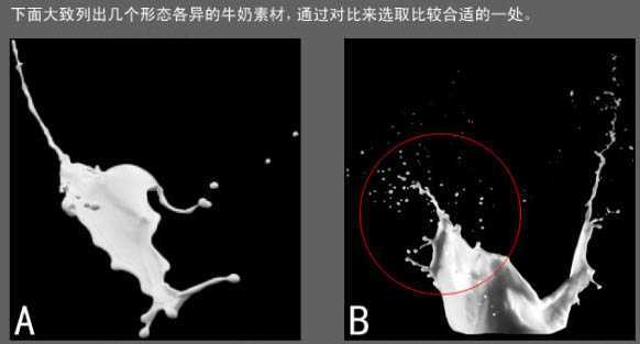 ‘Photoshop合成牛奶泼洒出纯白色花朵的效果‘