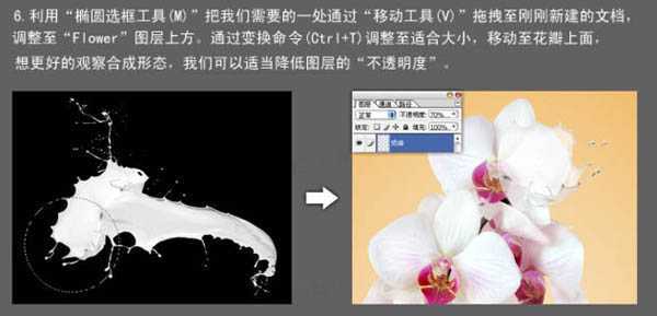 ‘Photoshop合成牛奶泼洒出纯白色花朵的效果‘