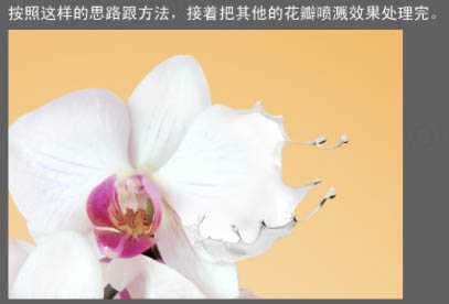 ‘Photoshop合成牛奶泼洒出纯白色花朵的效果‘