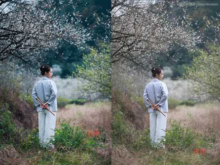 ‘Photoshop调出外景梅花人像中国风冷色效果‘