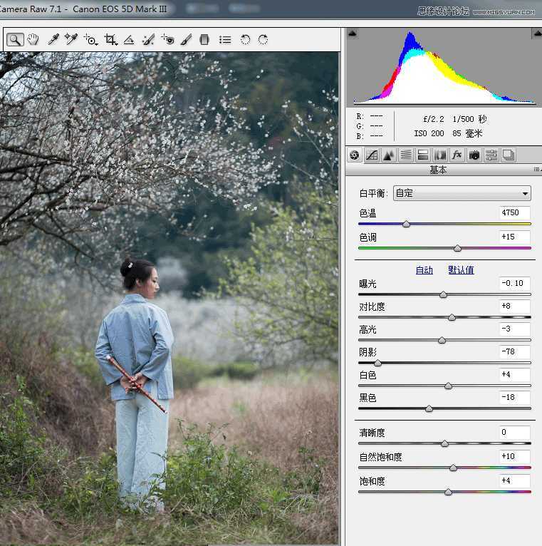 ‘Photoshop调出外景梅花人像中国风冷色效果‘
