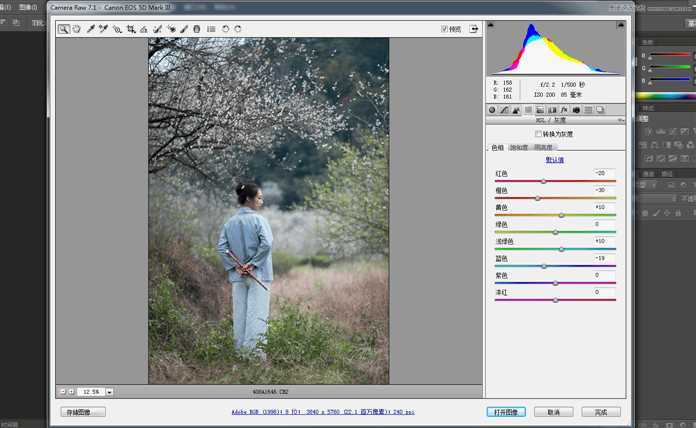‘Photoshop调出外景梅花人像中国风冷色效果‘