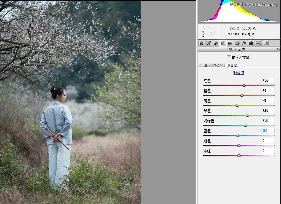 ‘Photoshop调出外景梅花人像中国风冷色效果‘