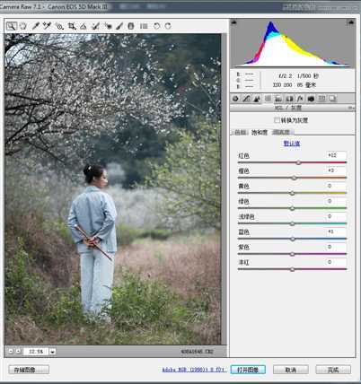 ‘Photoshop调出外景梅花人像中国风冷色效果‘